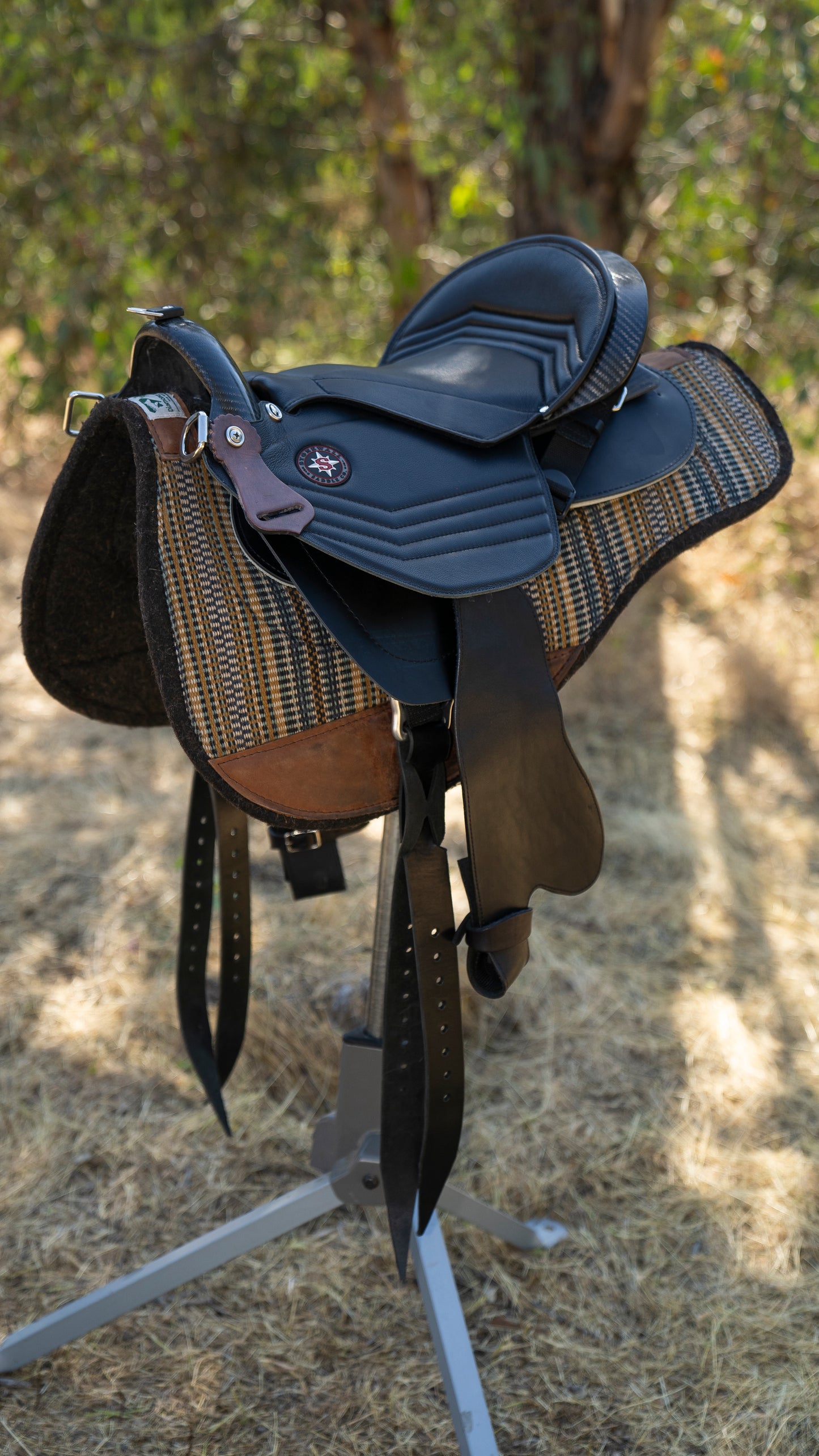 Morphing Saddle